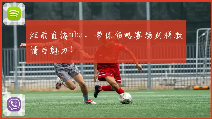 烟雨直播nba，带你领略赛场别样激情与魅力！