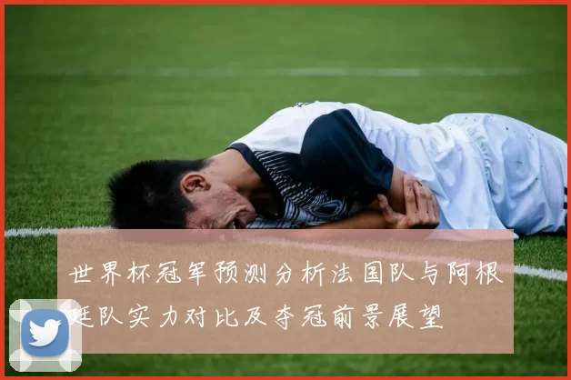 世界杯冠军预测分析法国队与阿根廷队实力对比及夺冠前景展望
