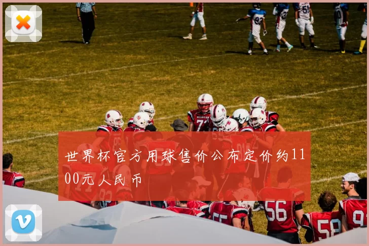 世界杯官方用球售价公布定价约1100元人民币