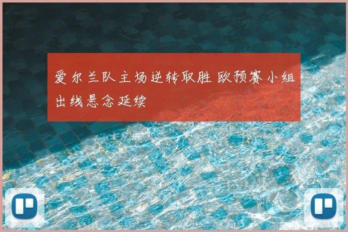 爱尔兰队主场逆转取胜 欧预赛小组出线悬念延续