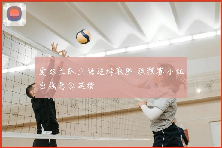 爱尔兰队主场逆转取胜 欧预赛小组出线悬念延续