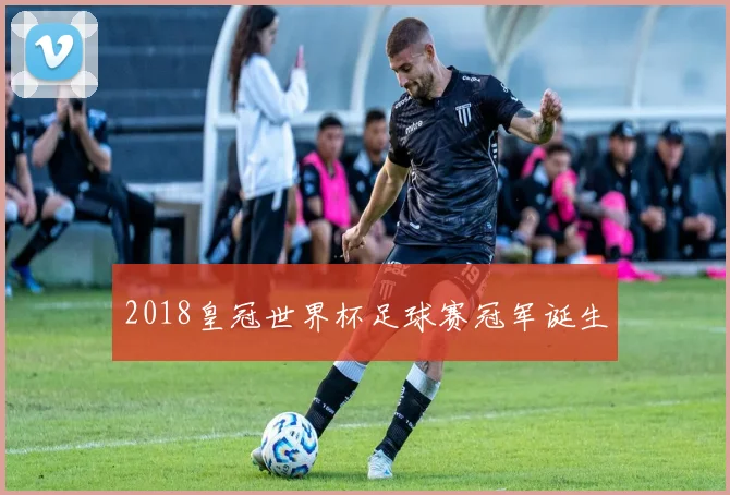 2018皇冠世界杯足球赛冠军诞生