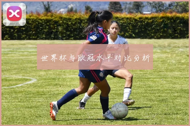 世界杯与欧冠水平对比分析